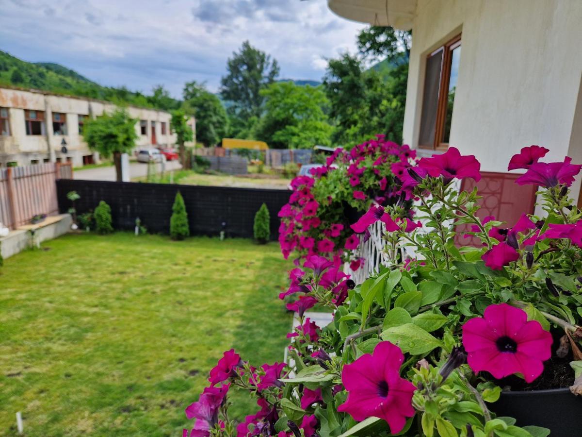 Renate House Hotel Băile Herculane Buitenkant foto