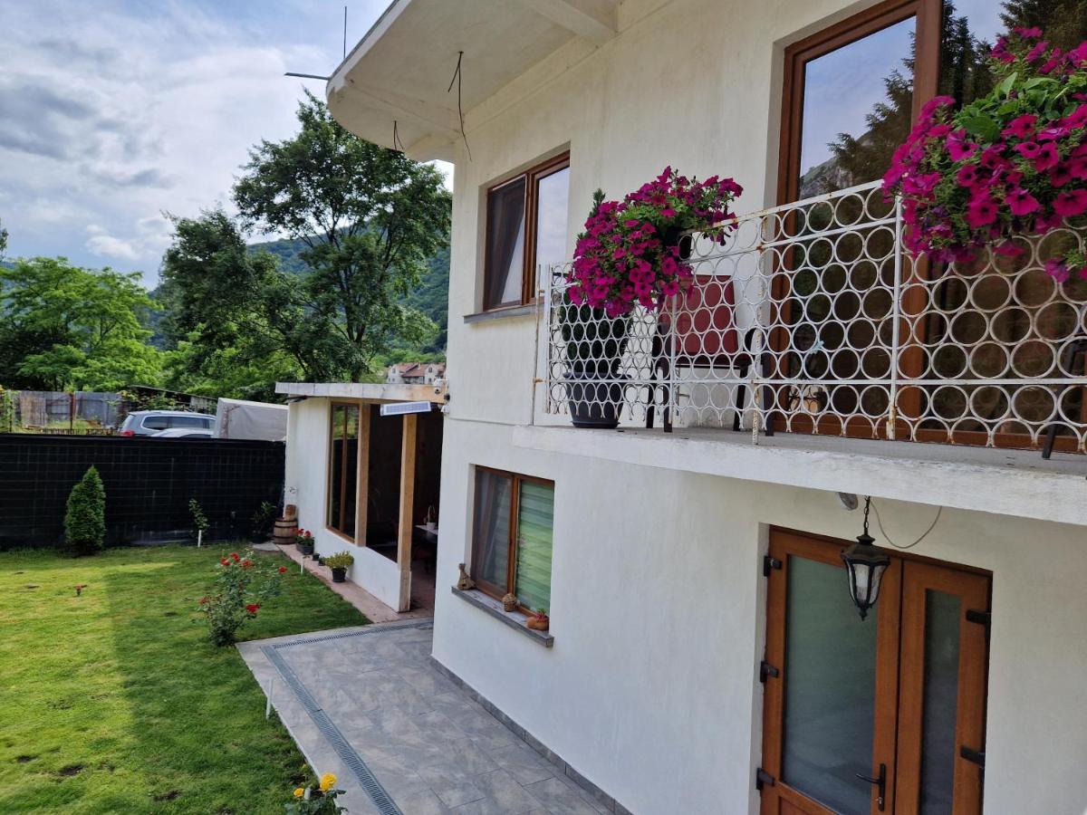 Renate House Hotel Băile Herculane Buitenkant foto