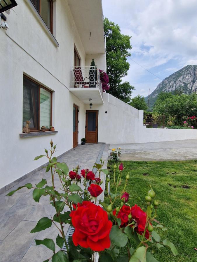 Renate House Hotel Băile Herculane Buitenkant foto