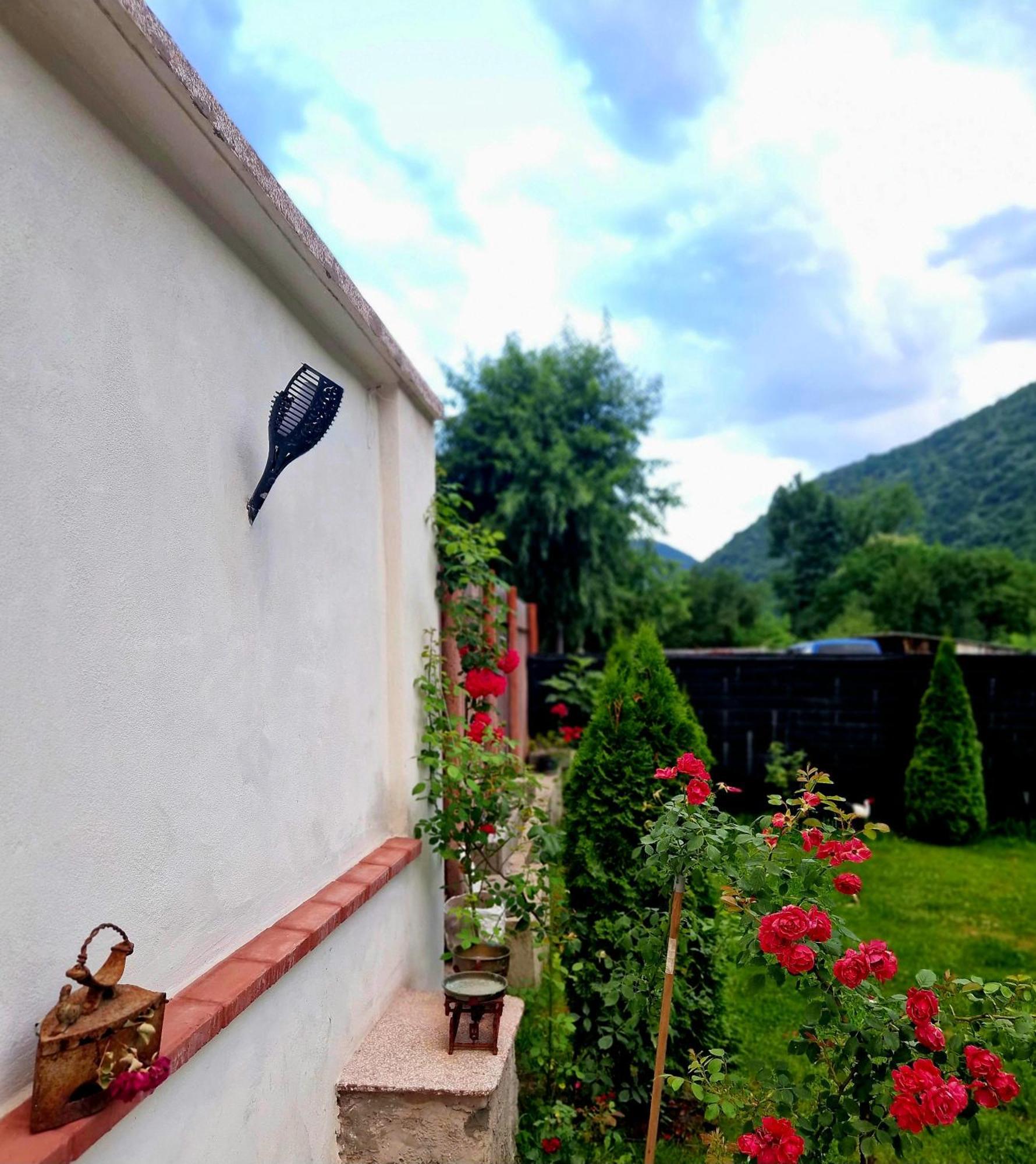 Renate House Hotel Băile Herculane Buitenkant foto