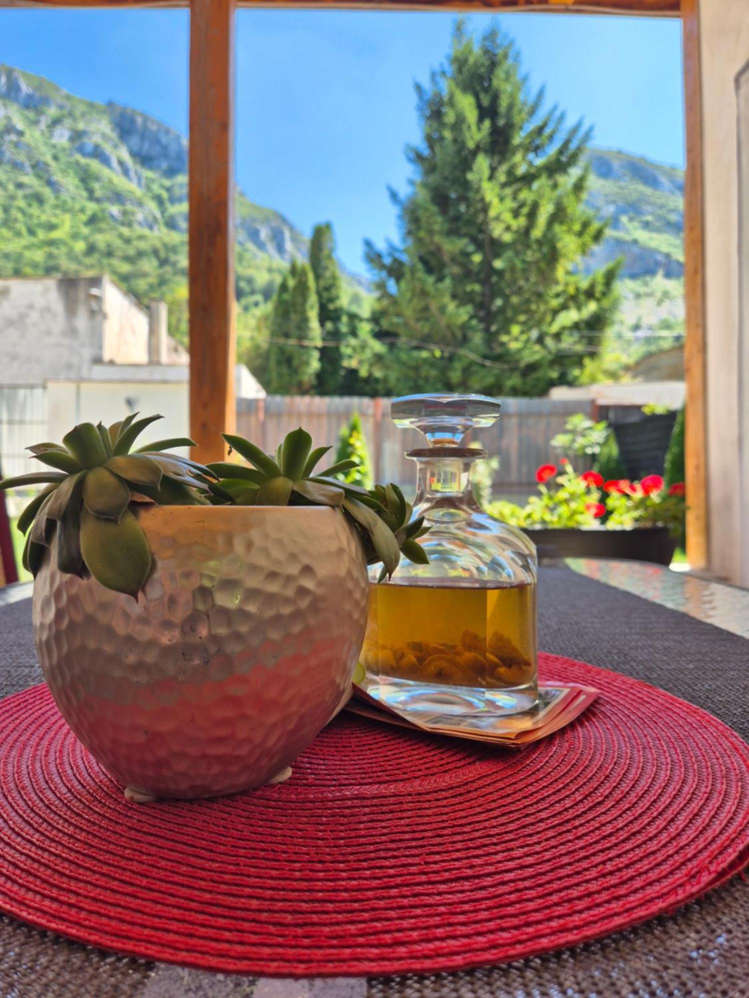 Renate House Hotel Băile Herculane Buitenkant foto